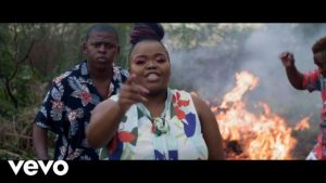 Distruction Boyz – Ubumnandi Ft. DJ Tira, Dladla Mshunqisi & Feerless Boyz