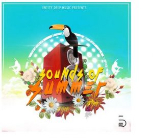ALBUM: Entity Deep Music Presents Sounds Of Summer