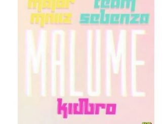 Major Mniiz & Team Sebenza – Malume Ft. Kidbro