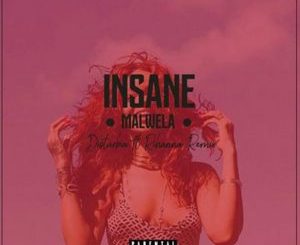 Rihanna – Disturbia (Insane Malwela’s Afro House Remix)