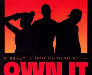 Stormzy – Own It (Remix) Ft. Burna Boy & Sho Madjozi
