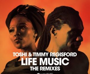 Toshi & Timmy Regisford – Kiqi (Remix)