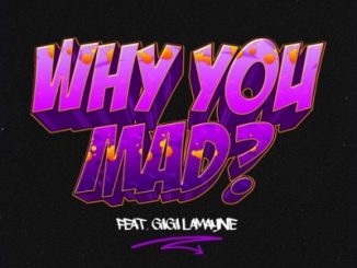 DJ Zan D – Why You Mad Ft. Gigi Lamayne