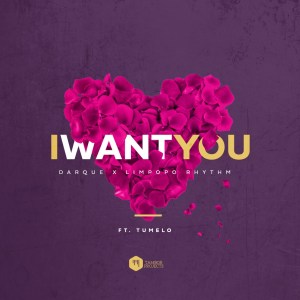 Darque & Limpopo Rhythm – I Want You Ft. Tumelo