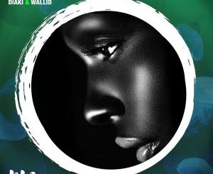 Diaki, Wallid & Ivan Afro5 – Magnifique (Original Mix)