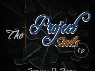Dj Shima & Senjay – The Project Souls