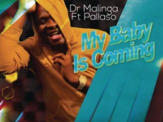 Dr Malinga – My Baby Is Coming Ft. Pallaso