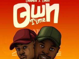 Gwamba – Own Time Ft. Emtee