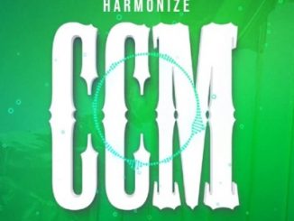 Harmonize – CCM Bedroom