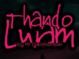 Mr Dlali Number – Thando Lwam