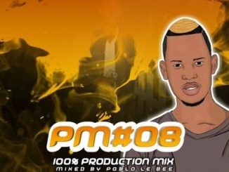 Pablo Lee Bee – Production Mix #008 (Grootman Stuff Sessions)