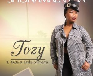 Tozy – Shonamalanga Ft. Drake Omnyama & 3kota (Extended Version)