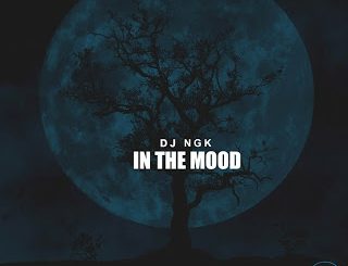 DJ NGK – Am In The Mood (AfroDrum Mix)