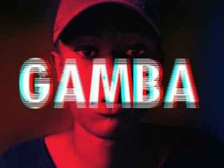 Hydraulic DJ – GAMBA