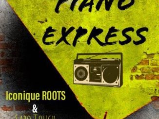 Sabo Touch & Iconique ROOTS – Piano Express