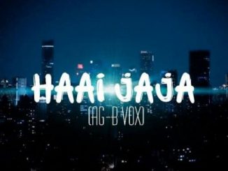 DJ FeezoL & DJ Zain – Haai Jaja (AG-B Vox)