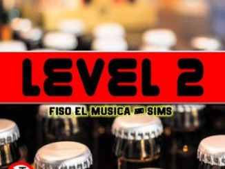 Fiso El Musica & Sims – Level 2