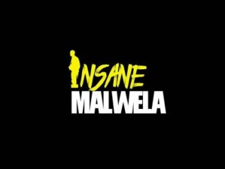 Insane Malwela & Cheestos – Demented Us