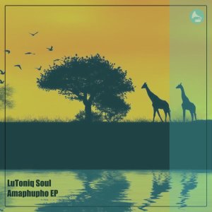 LuToniq Soul – Amaphupho