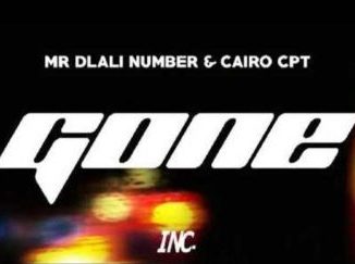 Mr Dlali Number & Cairo CPT – Gone