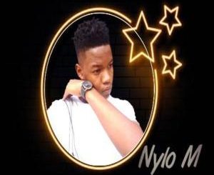 Nylo M – Ngididikiwe (Afro Drum)