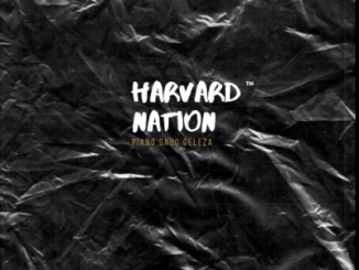 P-Man – Harvard Nation (Piano Gauo Geleza)