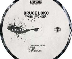 Bruce Loko – When I Wonder