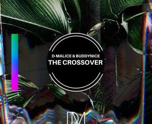 D-Malice & Buddynice – The Crossover (Original Mix)