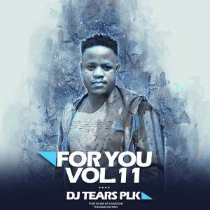 DJ Tears PLK – For You Vol.011