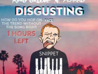 King Groove & Flakko – Disgusting Face (Amapiano)