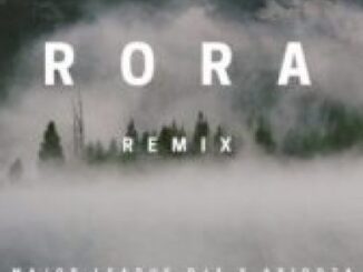 Major League & Abidoza – Rora (Amapiano Remix) Ft. Reekado Banks