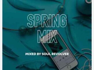 Soul Revolver – Spring Mix