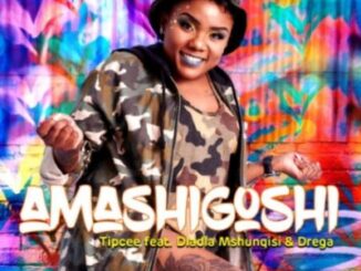 Tipcee – Amashigoshi Ft. Dladla Mshunqisi & Drega