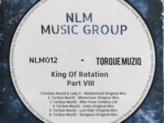 EP: TorQue MuziQ – King Of Rotation Part VIII