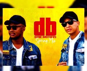 Dvine Brothers – Spring Mix 2020