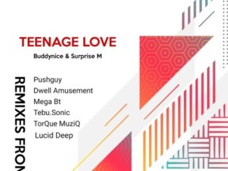 Buddynice & Surprise M – Teenage Love (Remixes)