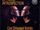 DJ Fudge – Introspection (Cee ElAssaad Introspective Remix)