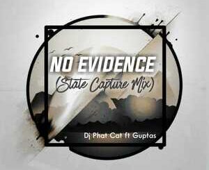 DJ Phat Cat – No Evidence (State Capture Mix) Ft. Guptas