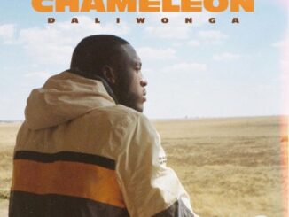 Daliwonga – Chameleon (Artwork + Tracklist)