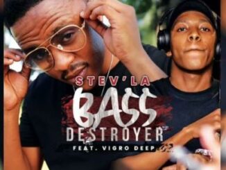 Stev’la – Bass Destroyer Ft. Vigro Deep