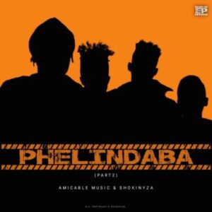 Amicable Music & ShokiNyza – Phelindaba (part 2)