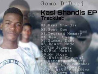 Gomo D’Deej – Kasi Shandis