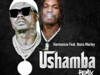 Harmonize – Ushamba (Remix) Ft. Naira Marley