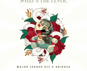Major League Djz & Abidoza – What’s The Levol