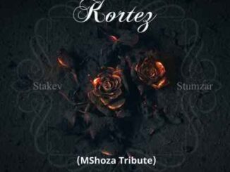 Stakev & Stumzar – Kortes (Mshoza Tribute)