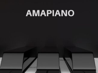 Top 50 Amapiano Songs of 2020