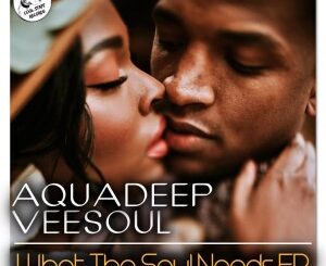 Aquadeep & Veesoul – What The Soul Needs