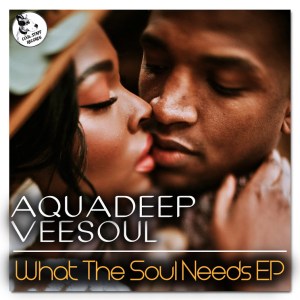 Aquadeep & Veesoul – What The Soul Needs