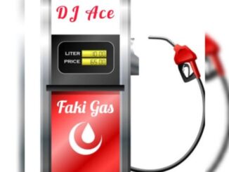 DJ Ace – Faki Gas