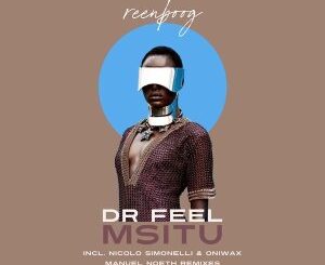 Dr Feel – Msitu